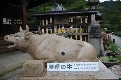 三室戸寺(京都府)