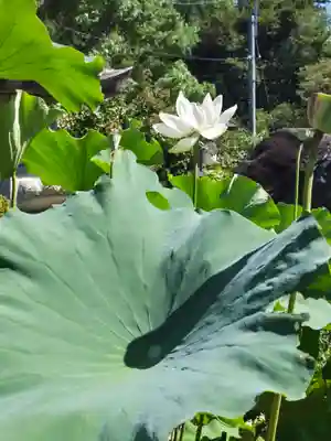 来福寺(福島県)