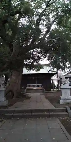 八幡神社(静岡県)