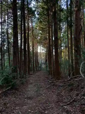 浅間神社の自然