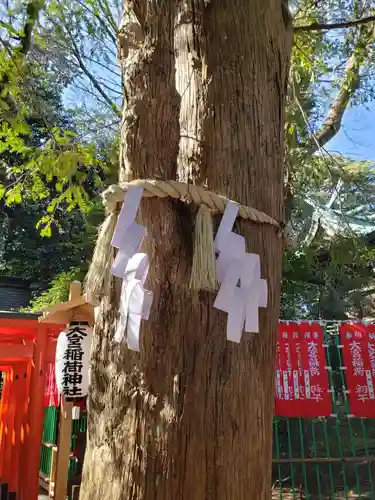 大宮八幡宮の自然