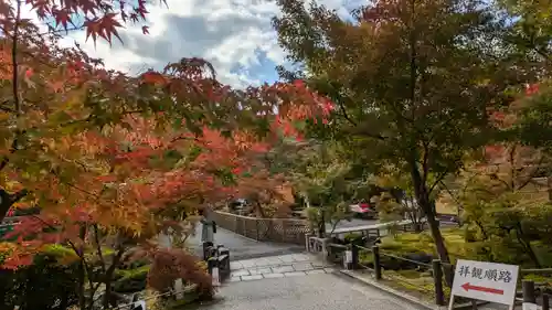 禅林寺（永観堂）(京都府)