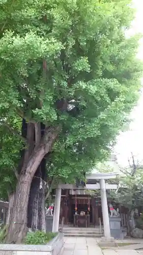 飛木稲荷神社(東京都)