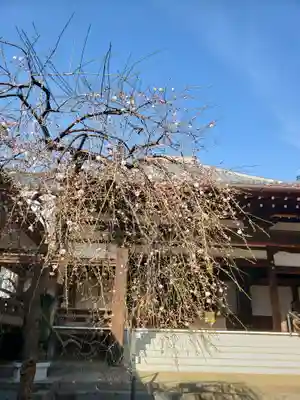 妙法寺(東京都)
