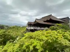 清水寺(京都府)