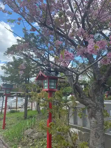 発寒神社の自然