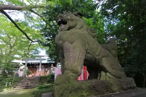 愛宕神社の狛犬