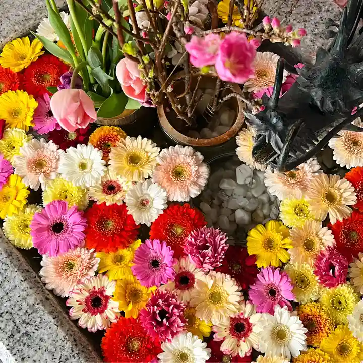 札幌諏訪神社の手水舎