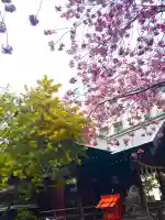 蔵前神社の{uncategorized: "未分類", other: "その他", undefined: "問題あり", building: "その他建物", grave: "お墓", sacred_gate: "鳥居", guardian: "狛犬", statue: "像", buddha: "仏像", history: "歴史", nature: "自然", garden: "庭園", animal: "動物", pagoda: "塔", temizu: "手水舎", mountain_gate: "山門・神門", sanctuary: "本殿・本堂", subordinate: "末社・摂社", art: "芸術", scenery: "景色", jizo: "地蔵", ema: "絵馬", goshuin: "御朱印", omikuji: "おみくじ", items: "授与品その他", amulet: "お守り", goshuincho: "御朱印帳", eats: "食事", festival: "お祭り", votive_dance: "神楽", shichigosan: "七五三参", wedding: "結婚式", experience: "体験その他", initially: "初詣", around: "周辺", anti_infection: "感染症対策"}