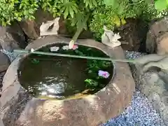 東京羽田 穴守稲荷神社(東京都)