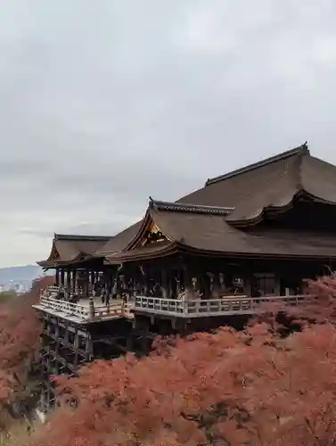 清水寺(京都府)
