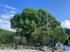 太宰府天満宮の庭園