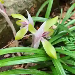 滑川神社 - 仕事と子どもの守り神の自然