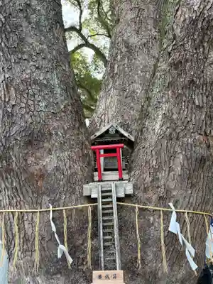 加藤神社(熊本県)