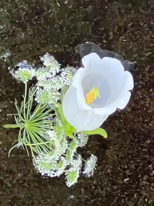 武蔵一宮氷川神社(埼玉県)