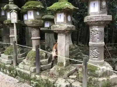 春日大社のその他建物