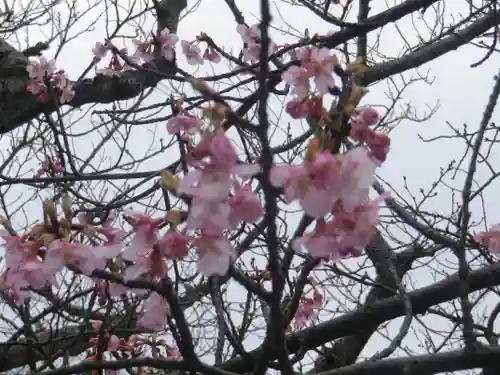 旗上弁財天社の自然