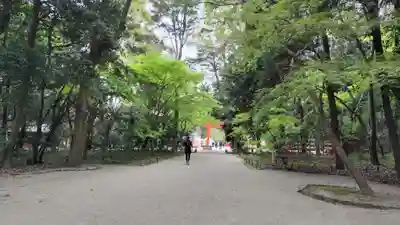 賀茂御祖神社(下鴨神社)(京都府)