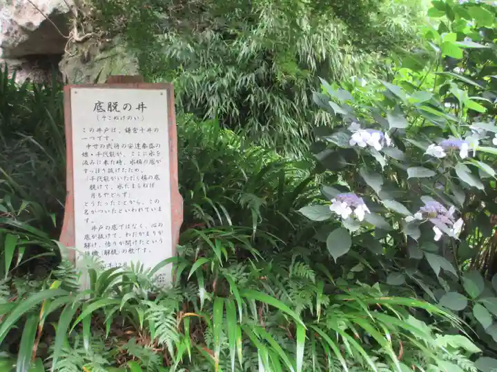 海蔵寺(神奈川県)