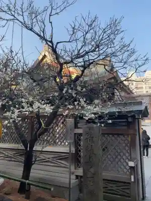 湯島天満宮(東京都)