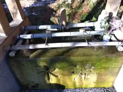 医王寺(石川県)