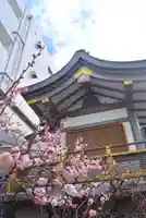 湯島天満宮(東京都)