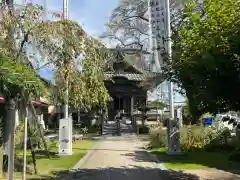 秩父札所十三番 慈眼寺(埼玉県)