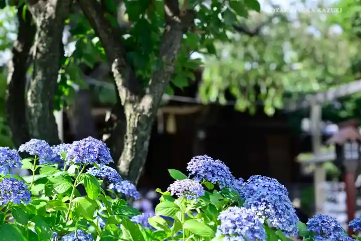 白山神社の庭園