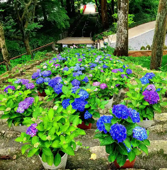 普門寺(切り絵御朱印発祥の寺)(愛知県)