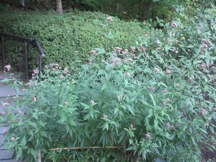 円通院(宮城県)