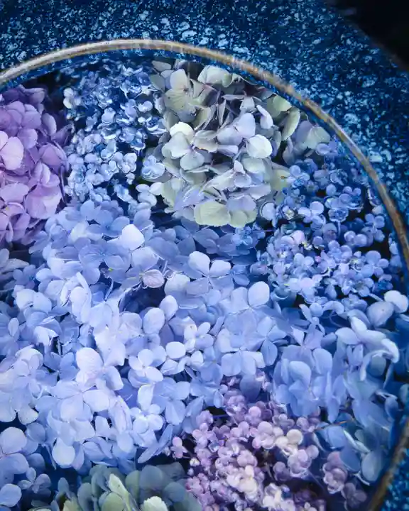 玉村八幡宮(群馬県)