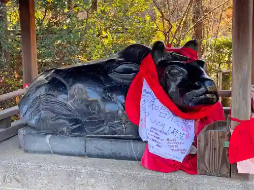 北野天満宮の狛犬