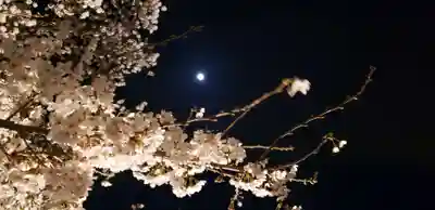 武田廣神社の自然