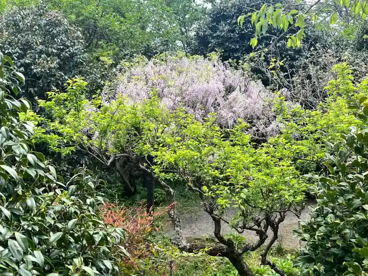 子安地蔵寺の{uncategorized: "未分類", other: "その他", undefined: "問題あり", building: "その他建物", grave: "お墓", sacred_gate: "鳥居", guardian: "狛犬", statue: "像", buddha: "仏像", history: "歴史", nature: "自然", garden: "庭園", animal: "動物", pagoda: "塔", temizu: "手水舎", mountain_gate: "山門・神門", sanctuary: "本殿・本堂", subordinate: "末社・摂社", art: "芸術", scenery: "景色", jizo: "地蔵", ema: "絵馬", goshuin: "御朱印", omikuji: "おみくじ", items: "授与品その他", amulet: "お守り", goshuincho: "御朱印帳", eats: "食事", festival: "お祭り", votive_dance: "神楽", shichigosan: "七五三参", wedding: "結婚式", experience: "体験その他", initially: "初詣", around: "周辺", anti_infection: "感染症対策"}