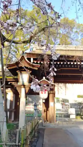 平野神社の自然
