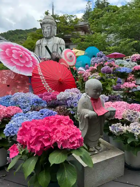 南法華寺(壷阪寺)(奈良県)
