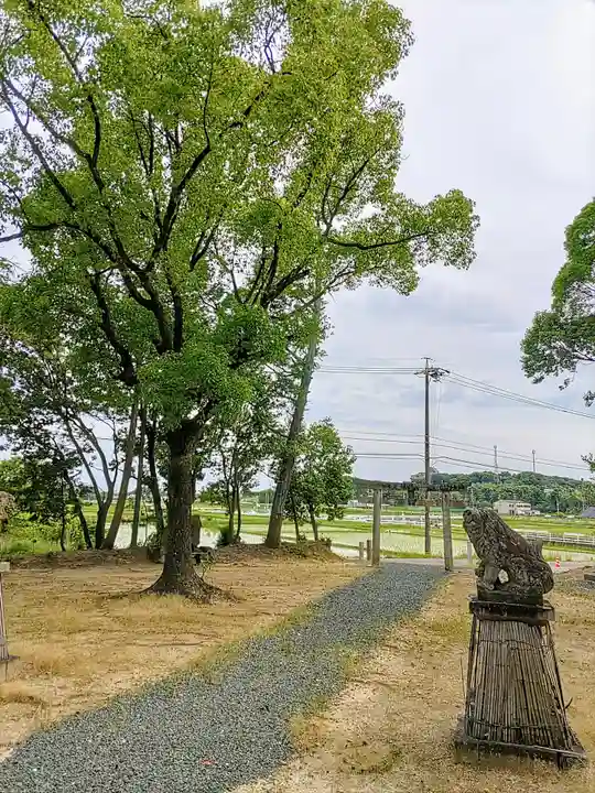八幡社(徳田八幡社)の狛犬