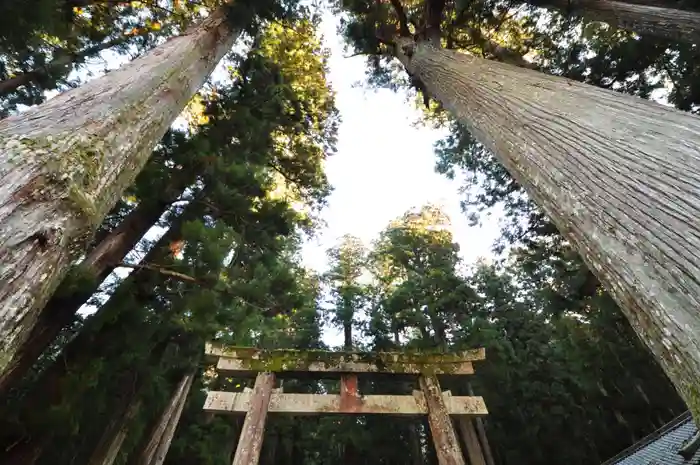 室生龍穴神社の鳥居