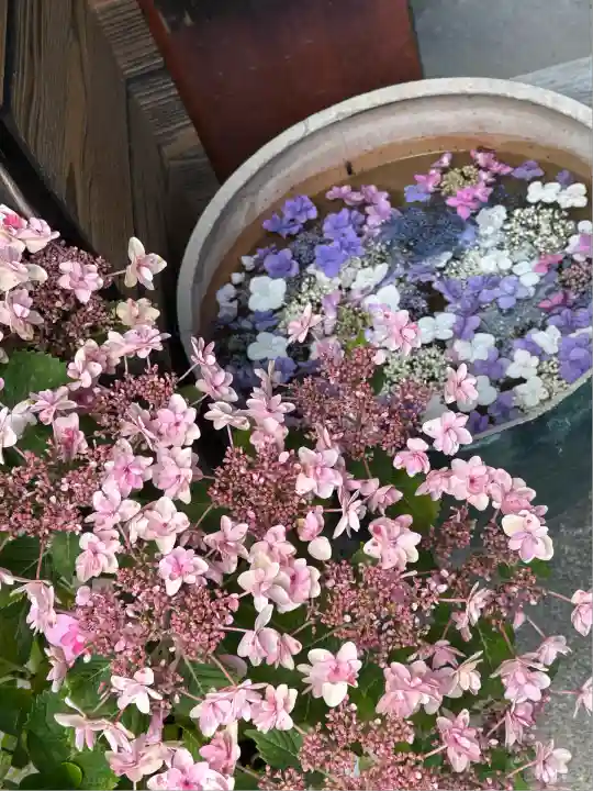 極楽寺(静岡県)