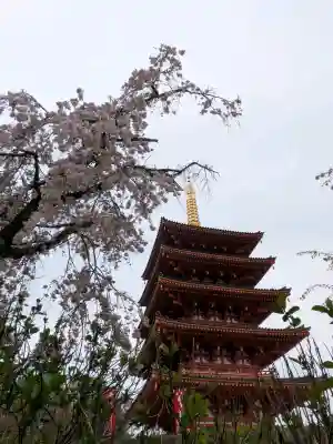 高幡不動尊　金剛寺(東京都)