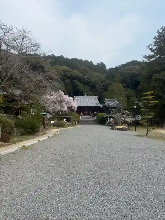 繁多寺の{uncategorized: "未分類", other: "その他", undefined: "問題あり", building: "その他建物", grave: "お墓", sacred_gate: "鳥居", guardian: "狛犬", statue: "像", buddha: "仏像", history: "歴史", nature: "自然", garden: "庭園", animal: "動物", pagoda: "塔", temizu: "手水舎", mountain_gate: "山門・神門", sanctuary: "本殿・本堂", subordinate: "末社・摂社", art: "芸術", scenery: "景色", jizo: "地蔵", ema: "絵馬", goshuin: "御朱印", omikuji: "おみくじ", items: "授与品その他", amulet: "お守り", goshuincho: "御朱印帳", eats: "食事", festival: "お祭り", votive_dance: "神楽", shichigosan: "七五三参", wedding: "結婚式", experience: "体験その他", initially: "初詣", around: "周辺", anti_infection: "感染症対策"}