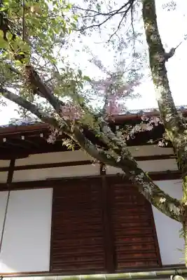 平野神社のその他建物