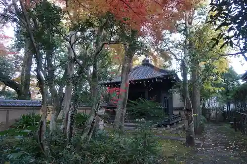 大正寺の庭園