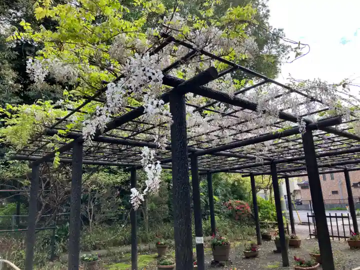和樂備神社の自然