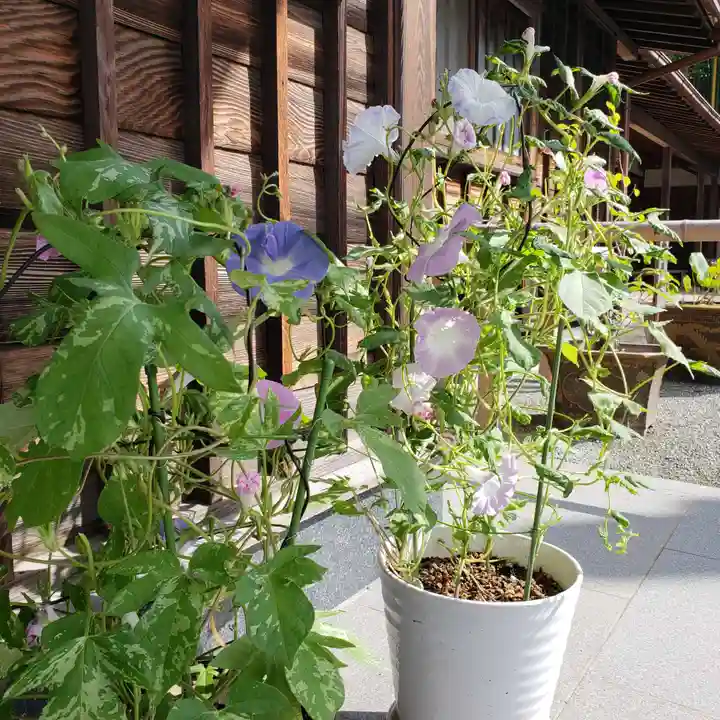 妙蓮寺のその他建物