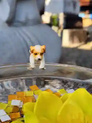 たつの市 常照寺(兵庫県)