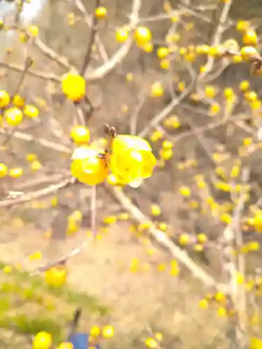 神前神社の自然