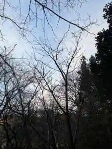 大宮温泉神社(栃木県)(2024年02月28日(水) 16時50分03秒投稿)