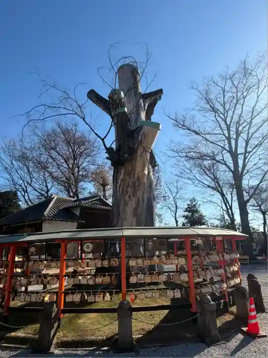 上野総社神社(群馬県)