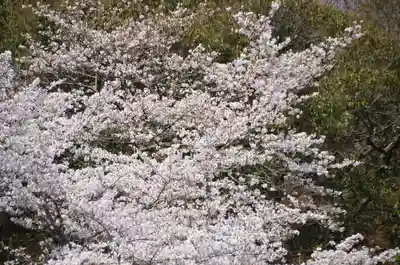 吉備津彦神社(岡山県)